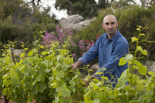 Winemaker FGarrabou